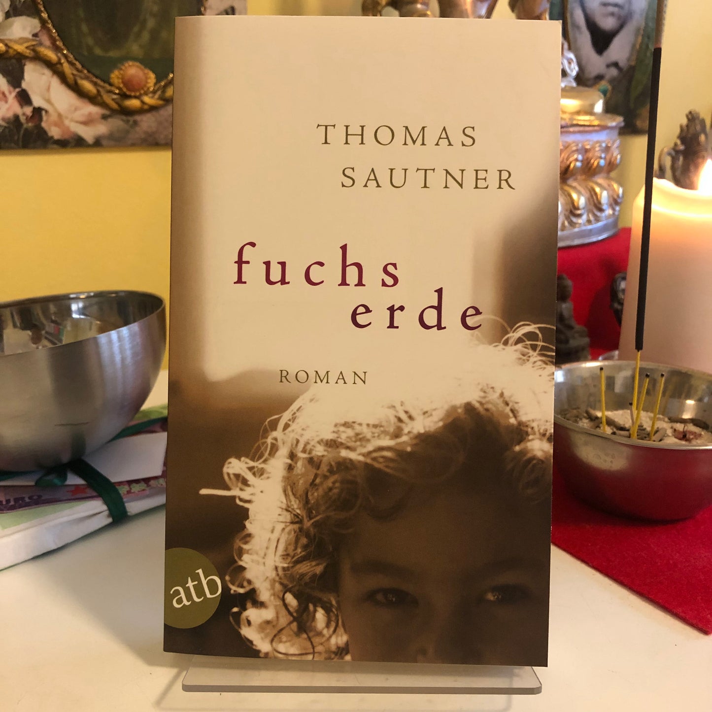 Fuchs Erde - Thomas Sautner